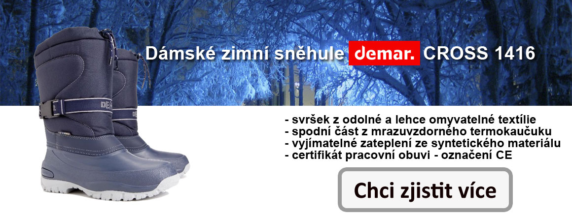 d_zima_2_cz